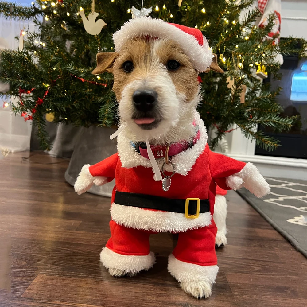 Winter Clothing Dress Up - Weihnachtskleidung für Hunde und Katzen, Neujahr,