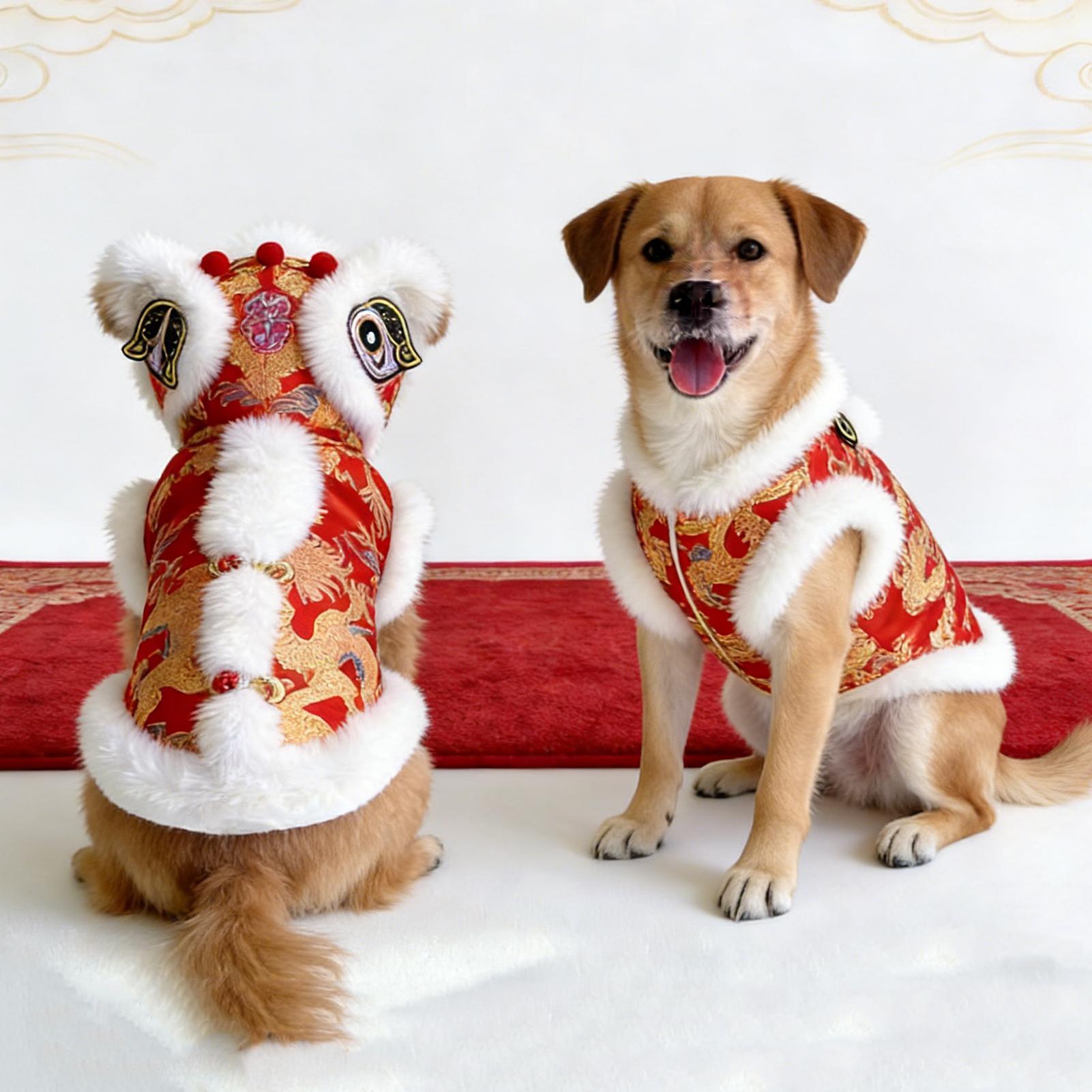 Löwentanz-Katzenkostüm, Winter – Winter Clothing Dress Up Bewertung und Preis